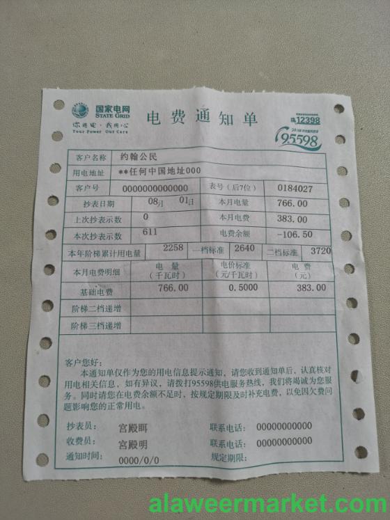 China State Grid Corporation of China (SGCC) electricity utility bill photolook
